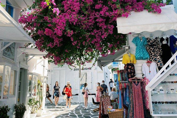 Mykonos Private Half Day Highlights for Cruise and Hotel Guests