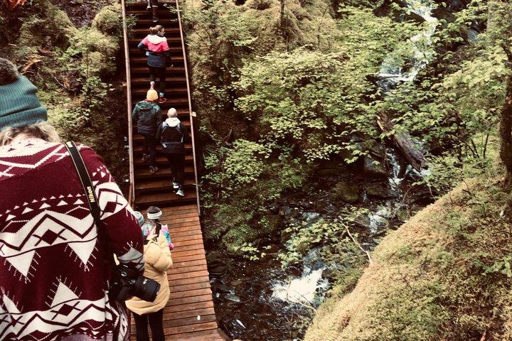 Ketchikan Town Tour, Totem Heritage Center & Trail Hike Combo