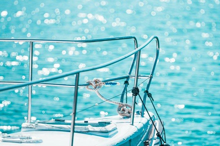 Benalmadena Catamaran : Dolphins, Tapas and Sea Baths 2hrs. 30min.