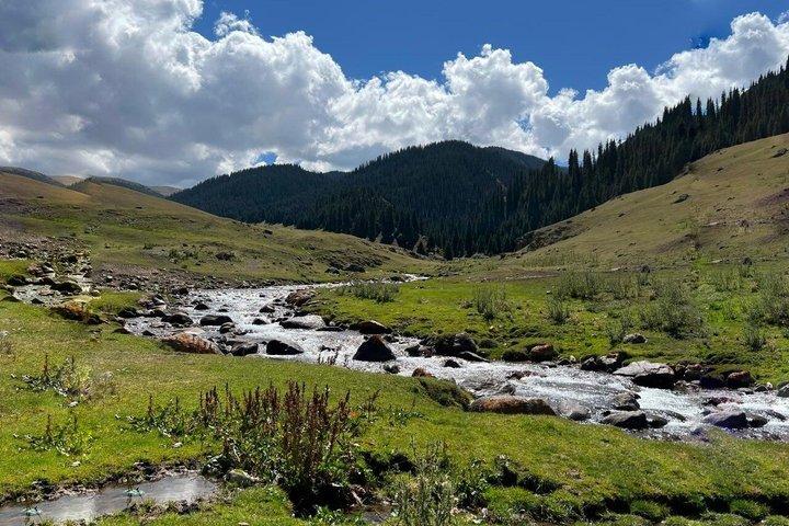Assy Plateau and Turgen Waterfall Day Tour from Almaty