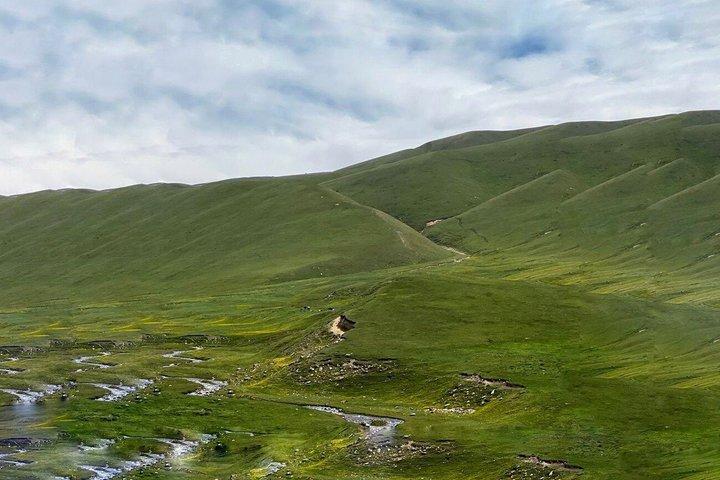 Assy Plateau and Turgen Waterfall Day Tour from Almaty