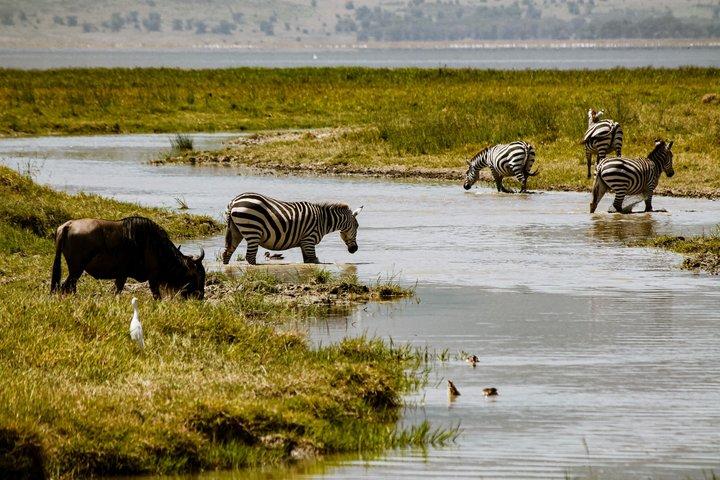 3-Day Romantic Safari in Tanzania: Ngorongoro and Tarangire