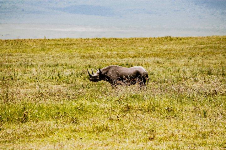 3-Day Romantic Safari in Tanzania: Ngorongoro and Tarangire