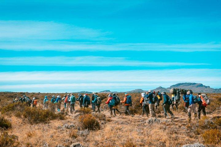 Kilimanjaro Climbing Umbwe Route