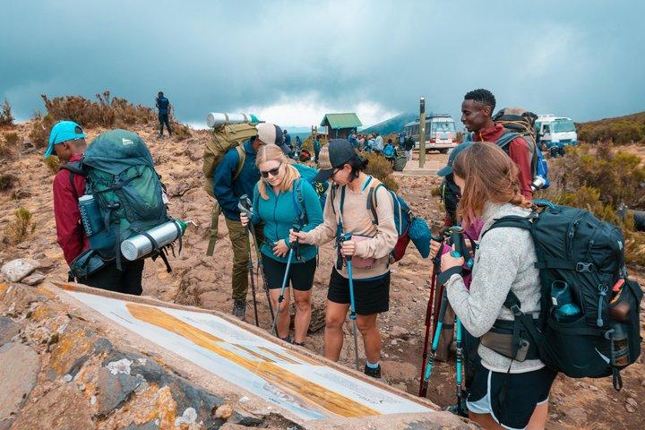 Kilimanjaro Climbing Umbwe Route