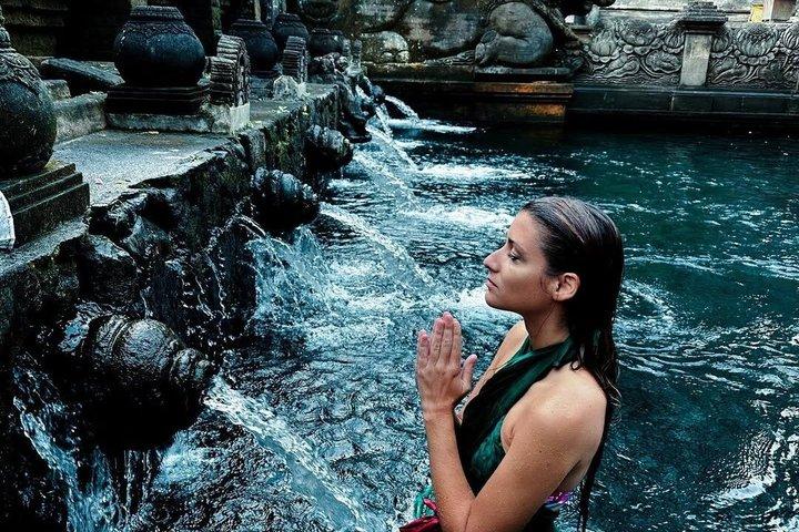 Ubud Waterfalls, Water Temple and Rice Terrace - Private Tour