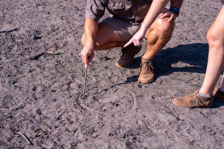 Mapesu Private Game Reserve Walking Safari