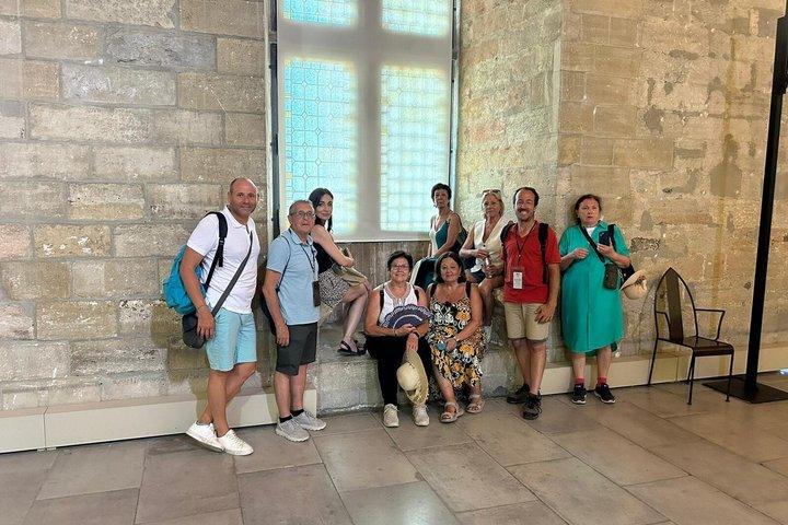 Private Avignon Walking Tour Popes Palace and Pont dAvignon