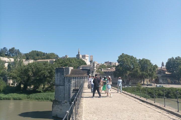 Private Avignon Walking Tour Popes Palace and Pont dAvignon