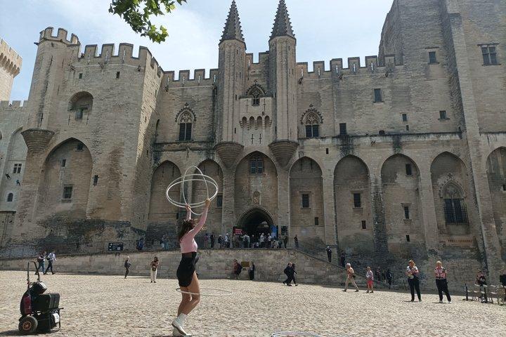 Private Avignon Walking Tour Popes Palace and Pont dAvignon