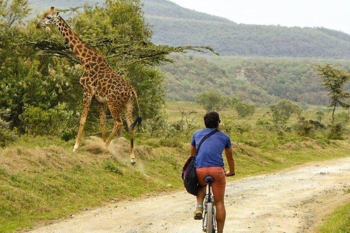2 day Tour to Hell's Gate Naivasha and Crescent Island