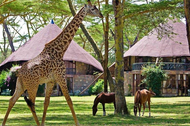 8-Day Memorable Bush and Beach Luxury Holiday Vacation