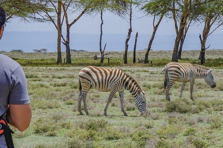 Crescent Island Naivasha Day Tour from Nairobi