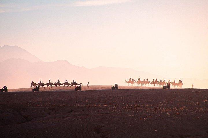 Agafay Desert Camel Ride with Dinner and Fire Show from Marrakech