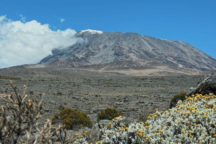 7 Day Kilimanjaro Climb Via Machame Route Whiskey Route
