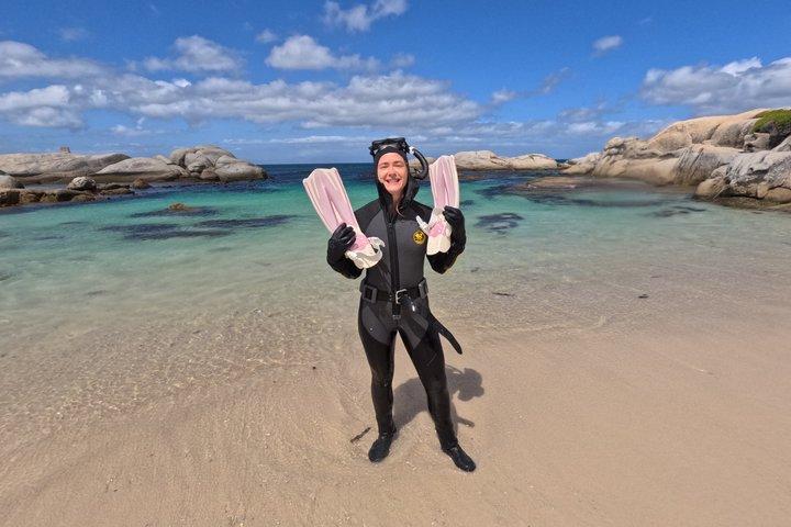 Blue Safari Kelp and Snorkeling Experience