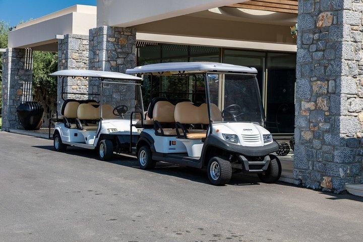 Rome Guided Golf Cart & E-Tuk Tour
