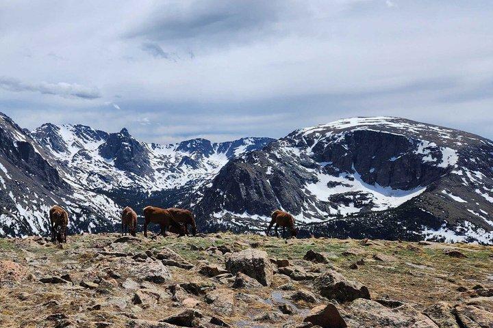 Rocky Mountain National Park Guided Hiking Adventure