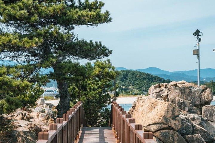 BTS Filming Locations and Gangneung Day Tour from Seoul