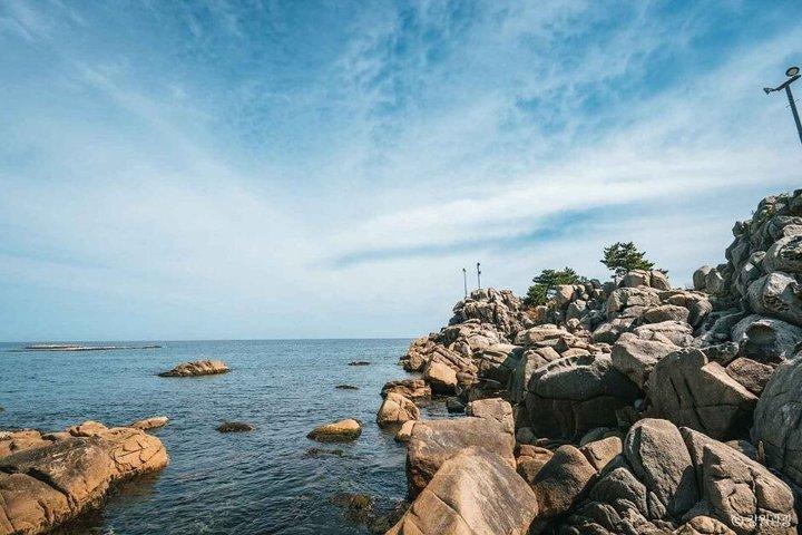 BTS Filming Locations and Gangneung Day Tour from Seoul