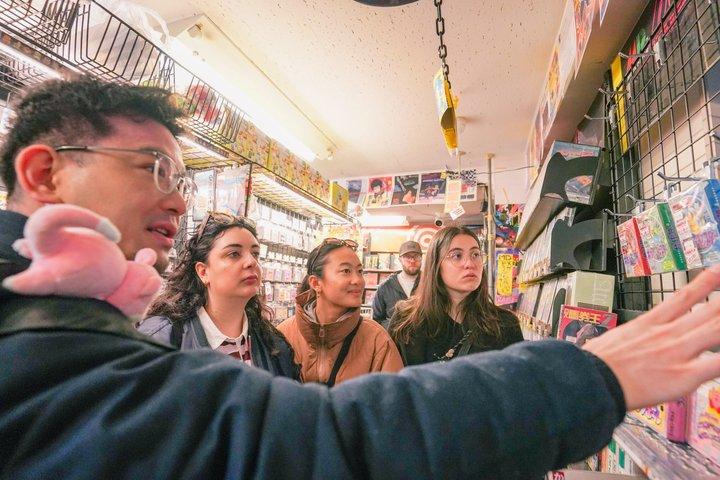 Akihabara Anime & Game Adventure Walking Tour (Group or Private)