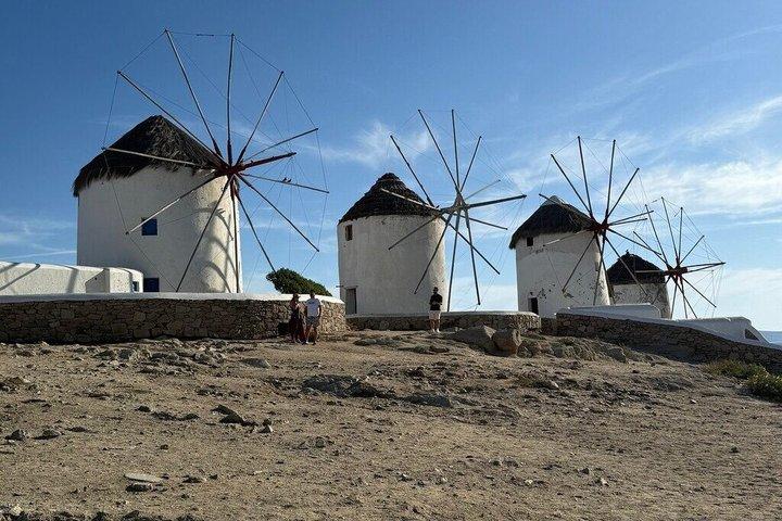 Mykonos Private Half-Day Tour