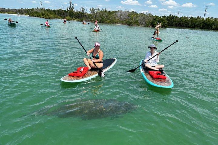 Port Canaveral Kayak Tour Dolphins and Manatees Near Cruise Port