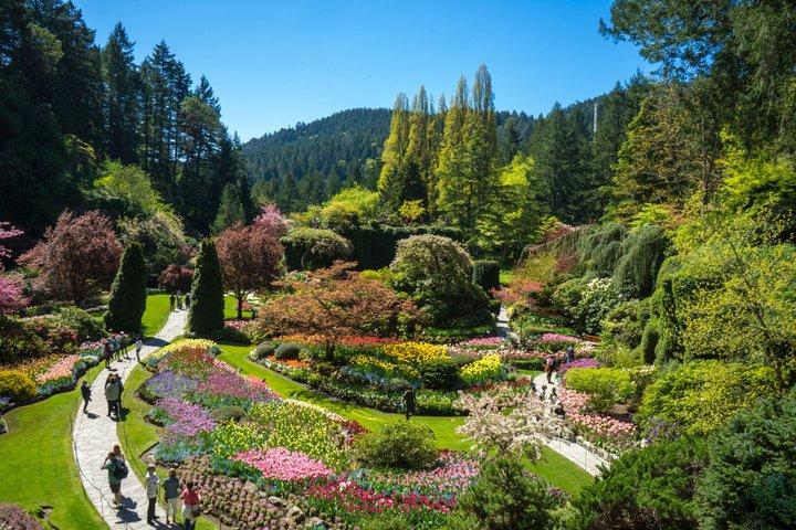 Butchart Gardens and Victoria Tour from Vancouver