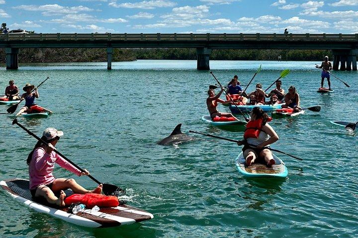 Port Canaveral Kayak Tour Dolphins and Manatees Near Cruise Port