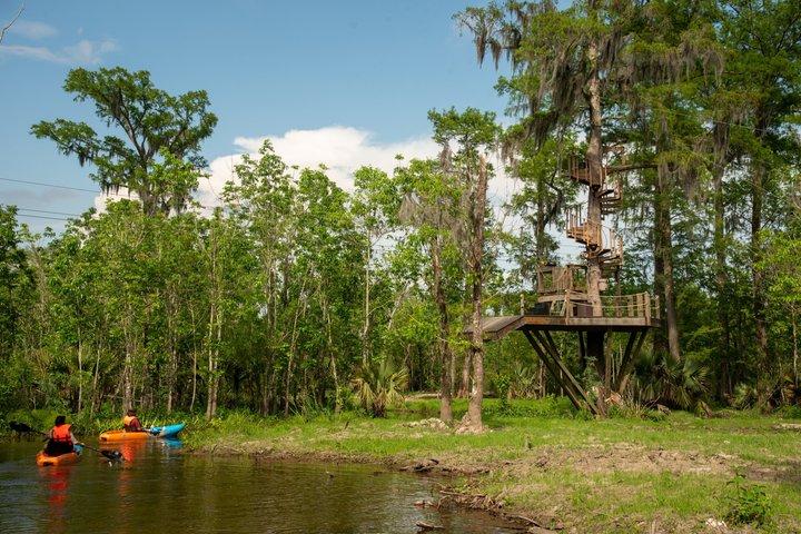 New Orleans Guided Kayak Swamp Tour