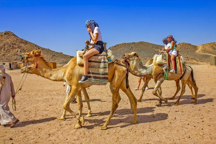 Sharm El-Sheikh: ATV Quad, Buggy, Stargazing, BBQ Dinner & Show