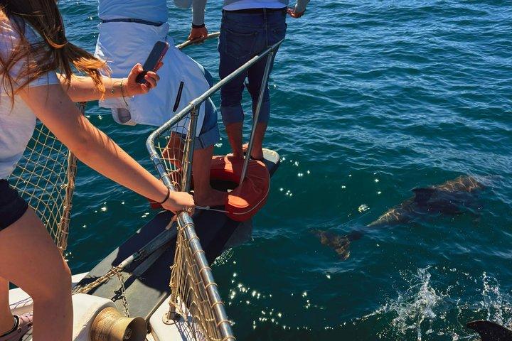 Estepona Boat Cruise: Dolphin Search, Swim, Drinks & Snacks