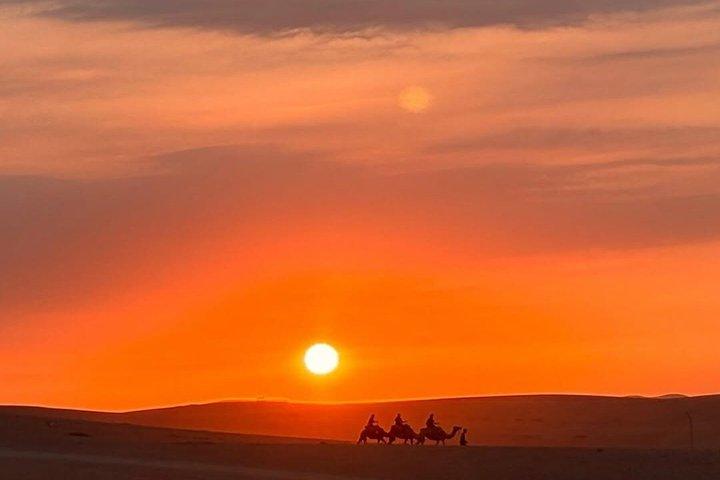Marrakech: Sunset, Dinner Show & Stargazing in Agafay Desert