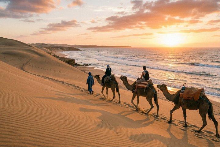 Agadir Desert Sandboarding: Dinner Show with Sunset Camel Ride