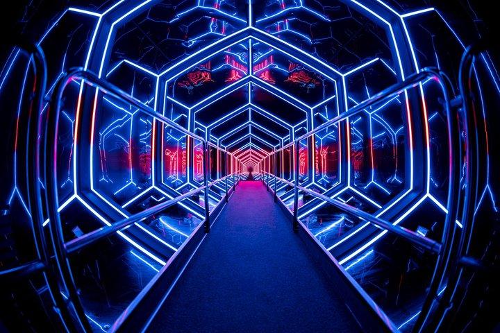 AMAZE by ID&T: Multi-Sensory Immersive Spectacle