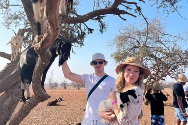 Taghazout Goats in Trees Excursion with Souk El Had Visit