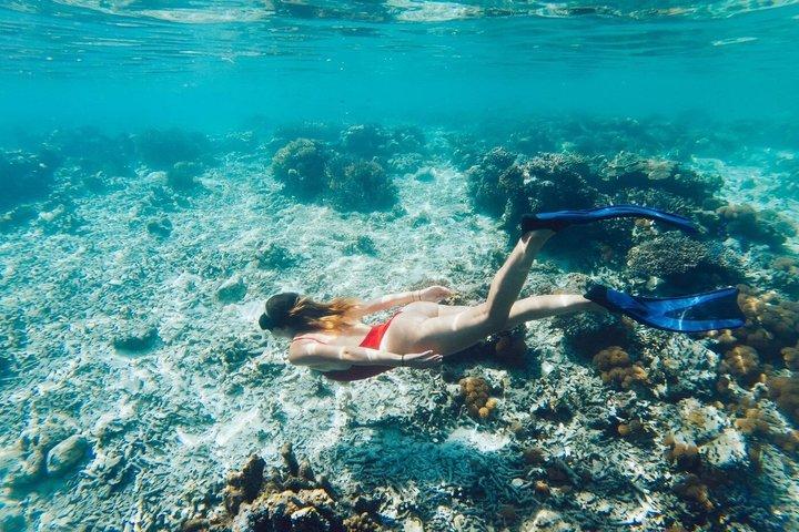 La Paz and Balandra Beach Catamaran Experience from Los Cabos