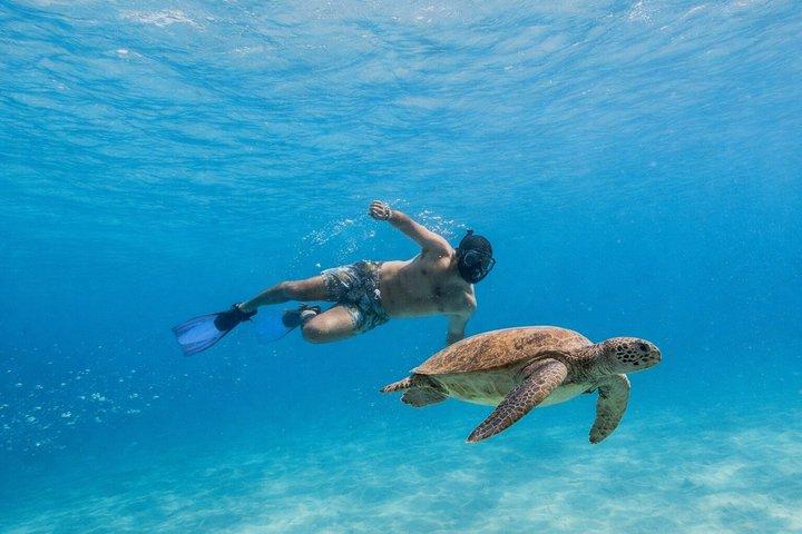 La Paz and Balandra Beach Catamaran Experience from Los Cabos