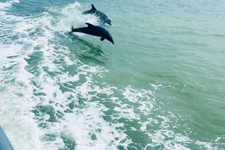 5 PM Golden Hour Dolphin Watch