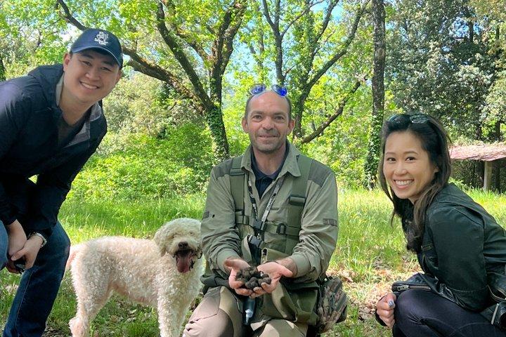 Semi-Private Truffle Hunting & lunch @ Winery, San Gimignano