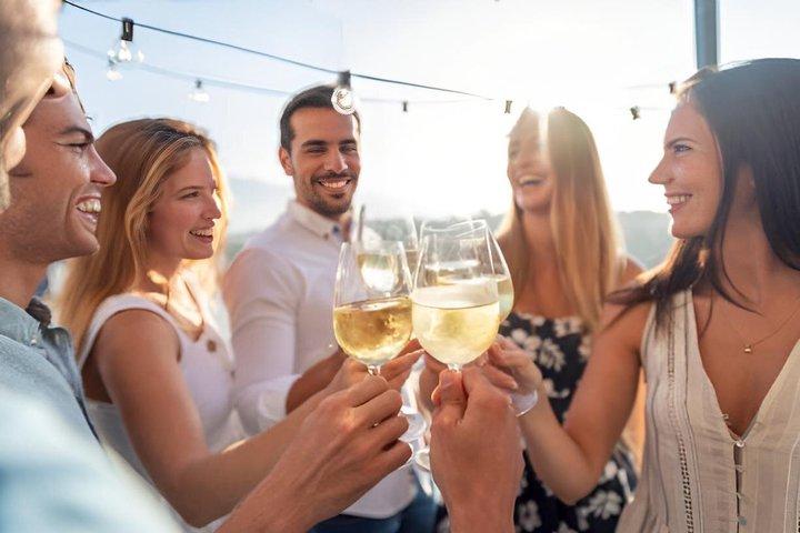 Unlimited Rosé Cruise on the Danube in Budapest