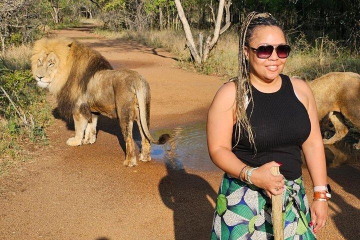 Lion Walk Guided Tour Adventure