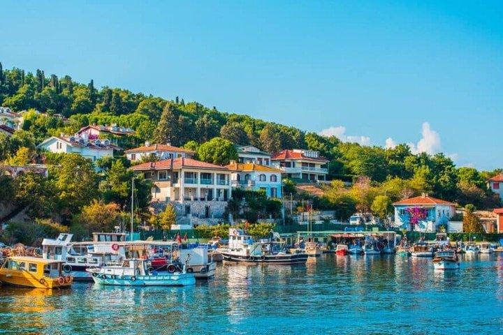 Princes Islands Full Day Tour Büyükada and Kınalıada with Lunch