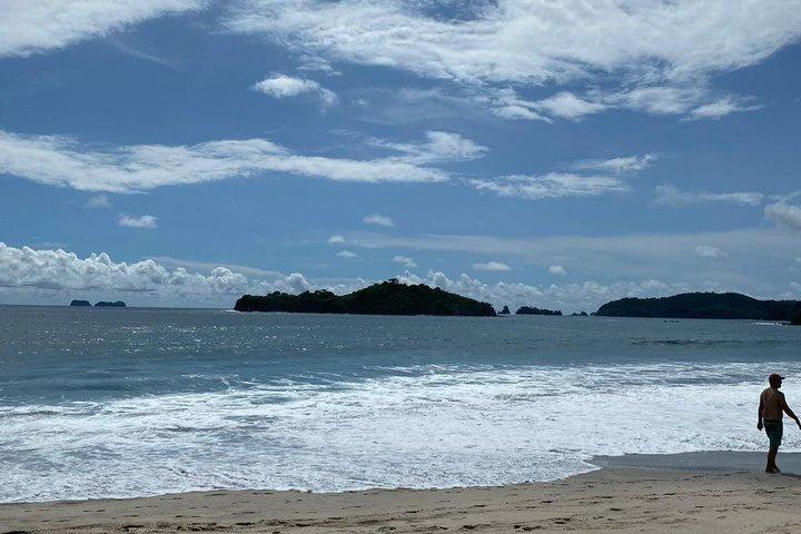 Manuel Antonio National Park Guided Wildlife Tour