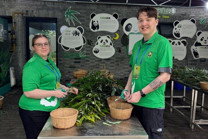 Dujiangyan Panda Base Tour with Optional Red Panda volunteer
