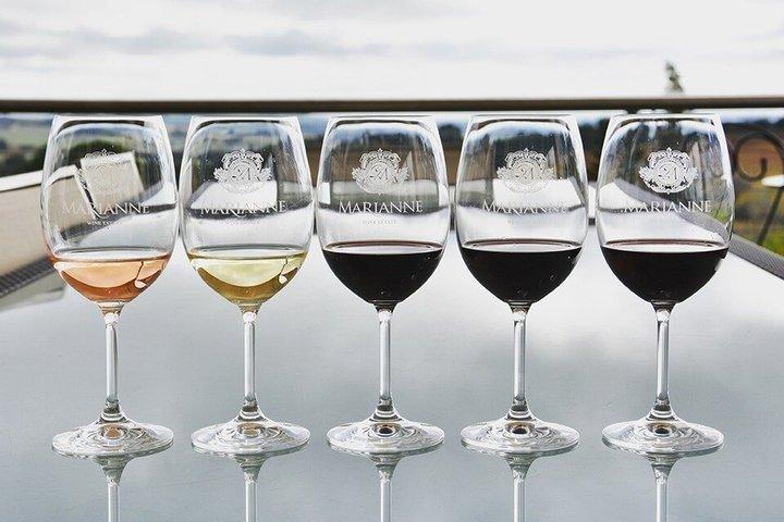 Cape Town Half Day Stellenbosch Bubbly Wine and Biltong Tour