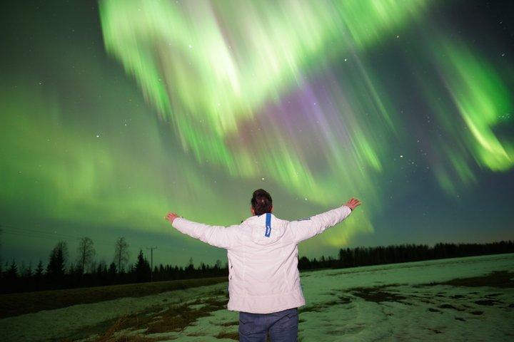 Rovaniemi Private Northern Lights Guaranteed Hunting with HD Pics