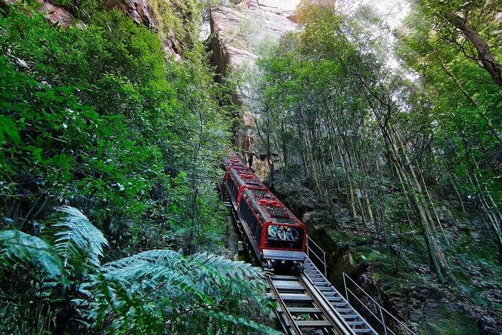 Blue Mountain Half Day Tour (15 max) & Worlds Steepest Railway