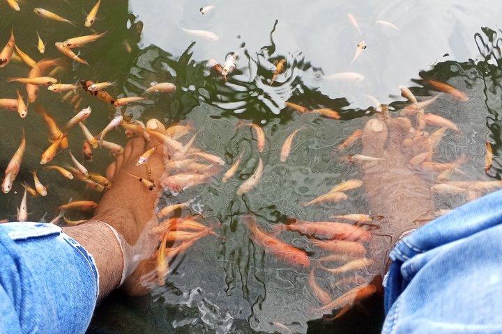 Beruwala and Bentota to one day Tour with Private Driver