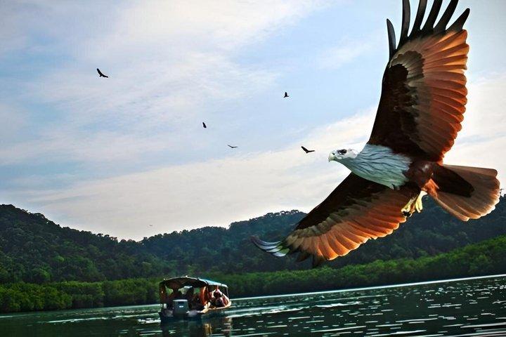 Langkawi Mangrove Cable Car and Sky Bridge Tour